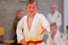 20241103-JV-Terwinselen-Japanse-Dag-Voorrondes-Judo-19