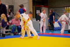 20241103-JV-Terwinselen-Japanse-Dag-Voorrondes-Judo-20