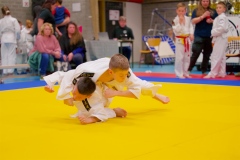 20241103-JV-Terwinselen-Japanse-Dag-Voorrondes-Judo-24