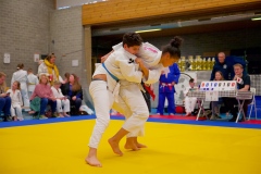 20241103-JV-Terwinselen-Japanse-Dag-Voorrondes-Judo-26