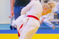 20241103-JV-Terwinselen-Japanse-Dag-Voorrondes-Judo-29