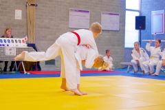 20241103-JV-Terwinselen-Japanse-Dag-Voorrondes-Judo-30