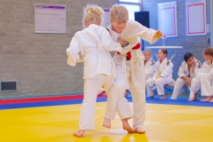 20241103-JV-Terwinselen-Japanse-Dag-Voorrondes-Judo-34