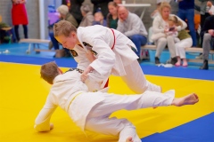 20241103-JV-Terwinselen-Japanse-Dag-Voorrondes-Judo-4