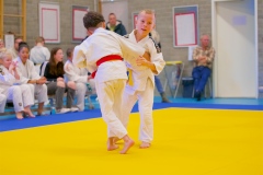 20241103-JV-Terwinselen-Japanse-Dag-Voorrondes-Judo-45