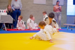 20241103-JV-Terwinselen-Japanse-Dag-Voorrondes-Judo-46