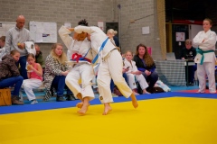 20241103-JV-Terwinselen-Japanse-Dag-Voorrondes-Judo-5