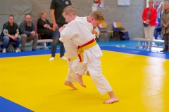 20241103-JV-Terwinselen-Japanse-Dag-Voorrondes-Judo-55