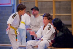 20241103-JV-Terwinselen-Japanse-Dag-Voorrondes-Judo-6
