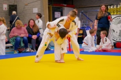 20241103-JV-Terwinselen-Japanse-Dag-Voorrondes-Judo-62