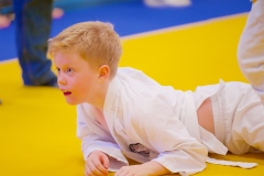 20241103-JV-Terwinselen-Japanse-Dag-Voorrondes-Judo-63