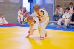 20241103-JV-Terwinselen-Japanse-Dag-Voorrondes-Judo-7