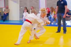 20241103-JV-Terwinselen-Japanse-Dag-Voorrondes-Judo-76