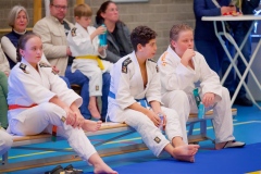 20241103-JV-Terwinselen-Japanse-Dag-Voorrondes-Judo-79