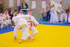20241103-JV-Terwinselen-Japanse-Dag-Voorrondes-Judo-81
