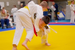 20241103-JV-Terwinselen-Japanse-Dag-Voorrondes-Judo-83