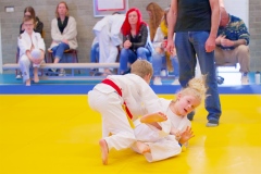 20241103-JV-Terwinselen-Japanse-Dag-Voorrondes-Judo-84