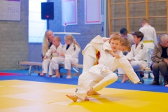 20241103-JV-Terwinselen-Japanse-Dag-Voorrondes-Judo-87