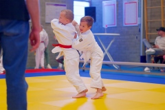20241103-JV-Terwinselen-Japanse-Dag-Voorrondes-Judo-89