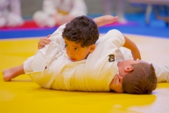 20241103-JV-Terwinselen-Japanse-Dag-Voorrondes-Judo-9