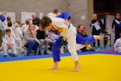 20241103-JV-Terwinselen-Japanse-Dag-Voorrondes-Judo-90