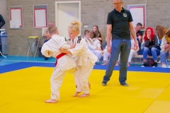 20241103-JV-Terwinselen-Japanse-Dag-Voorrondes-Judo-92