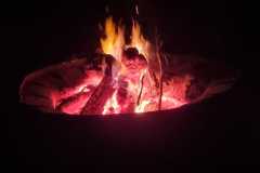 IMG-20230627-WA0021
