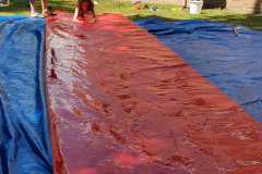 IMG-20200627-WA0077