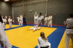 IMG_0408 - kopie