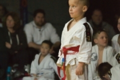 Japanse Dag 2023 finalerondes Judo