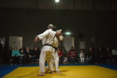 Japanse Dag 2023 jiu jitsu demonstraties