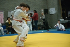 Japanse Dag 2023 voorrondes judo 2