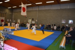 Japansedag 2019