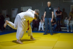Japansedag 2024 finales
