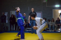 20241103-JV-Terwinselen-Japanse-Dag-Finales-41