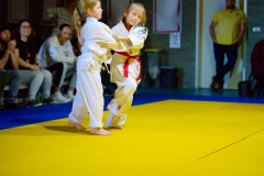 20241103-JV-Terwinselen-Japanse-Dag-Finales-43