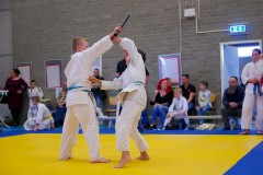 Japansedag 2024 jiujitsu