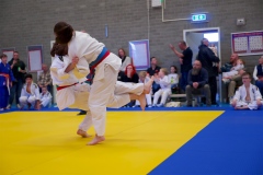 20241103-Japanse-Dag-Voorrondes-Jiu-Jitsu-10