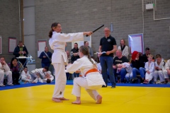 20241103-Japanse-Dag-Voorrondes-Jiu-Jitsu-15