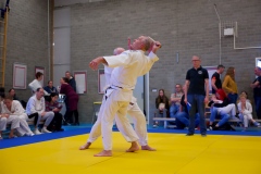 20241103-Japanse-Dag-Voorrondes-Jiu-Jitsu-18