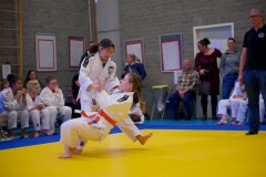 20241103-Japanse-Dag-Voorrondes-Jiu-Jitsu-2