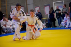 20241103-Japanse-Dag-Voorrondes-Jiu-Jitsu-21