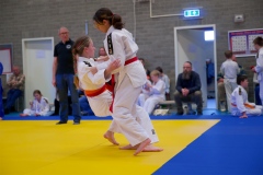 20241103-Japanse-Dag-Voorrondes-Jiu-Jitsu-25