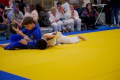 20241103-Japanse-Dag-Voorrondes-Jiu-Jitsu-28