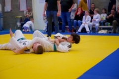 20241103-Japanse-Dag-Voorrondes-Jiu-Jitsu-31