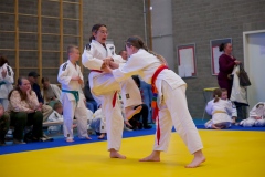 20241103-Japanse-Dag-Voorrondes-Jiu-Jitsu-38