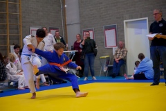 20241103-Japanse-Dag-Voorrondes-Jiu-Jitsu-45