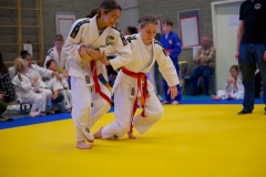 20241103-Japanse-Dag-Voorrondes-Jiu-Jitsu-49