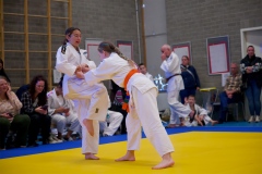 20241103-Japanse-Dag-Voorrondes-Jiu-Jitsu-57