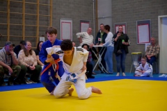 20241103-Japanse-Dag-Voorrondes-Jiu-Jitsu-8